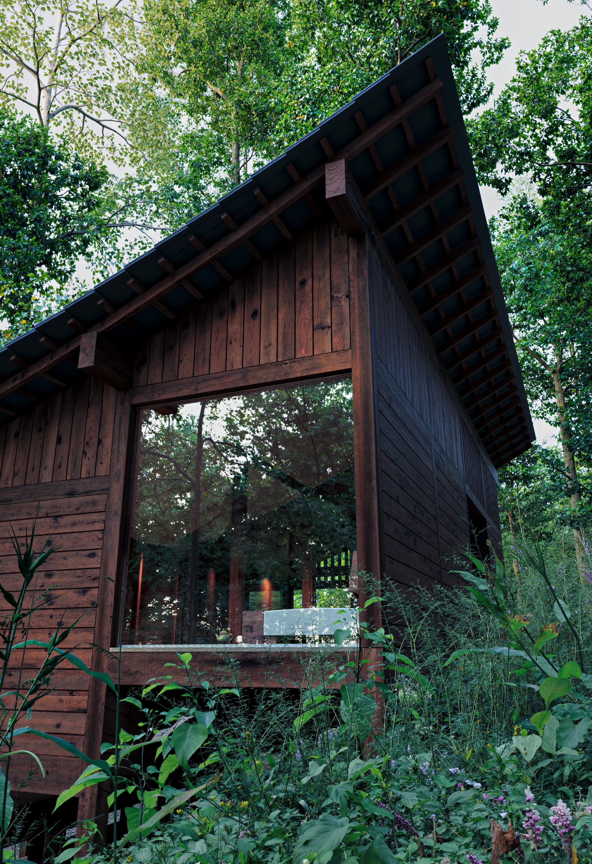 Rendering of Doah Cabin's roof overhang and glazed corner, seen from below among the trees.