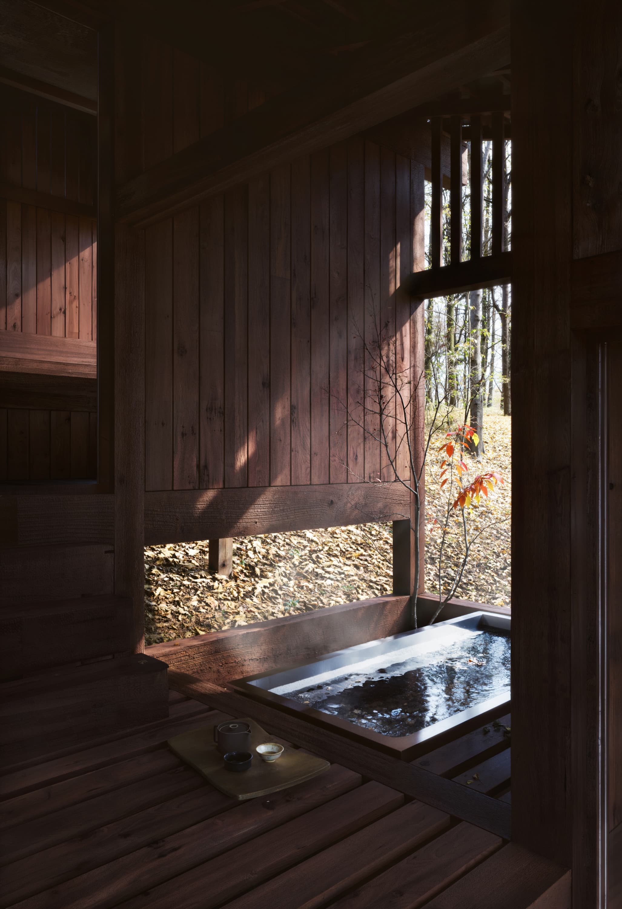 A sunken stone bathing court open to the forest floor, autumn leaves beyond.