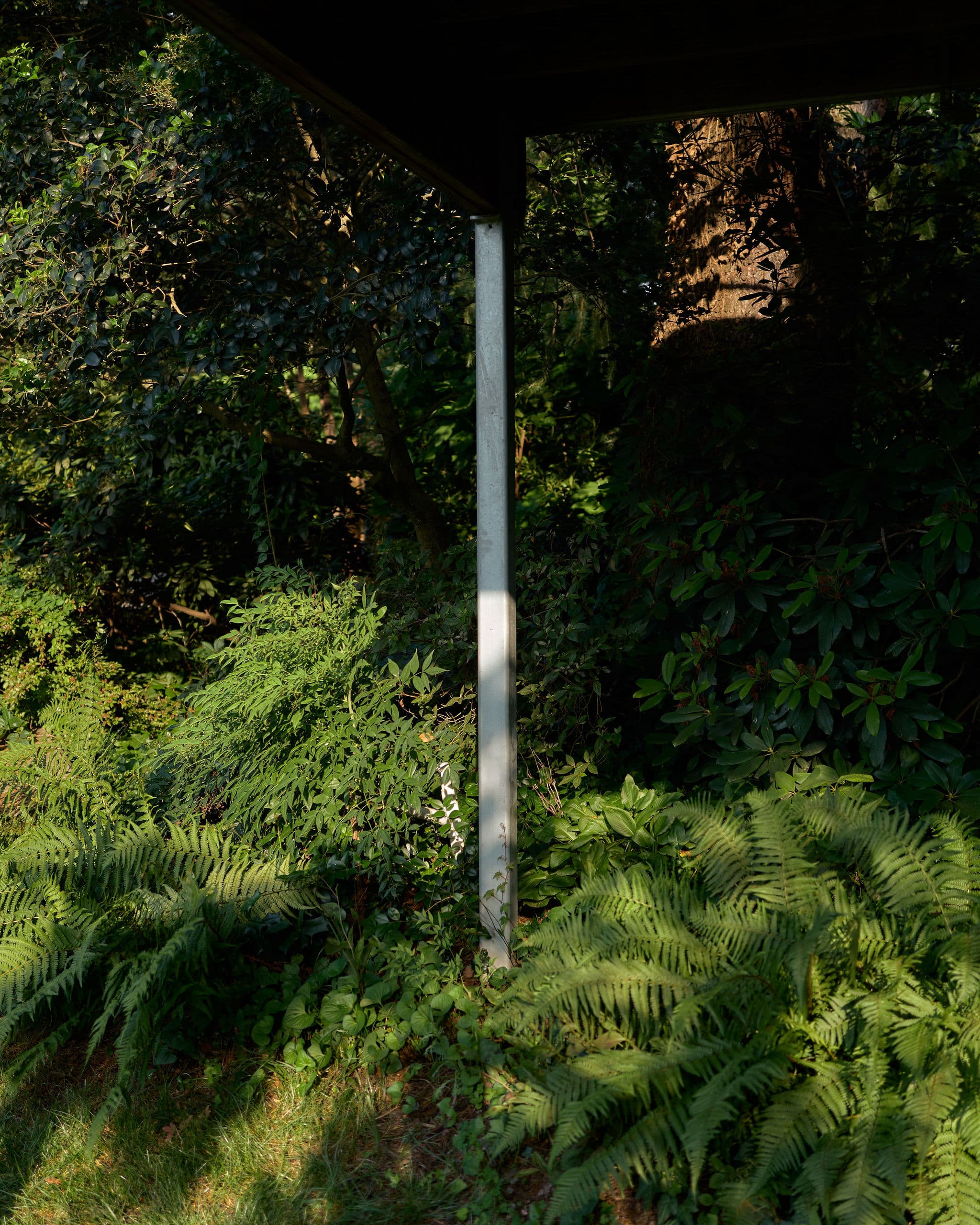 A galvanized steel column standing among ferns and shrubs.