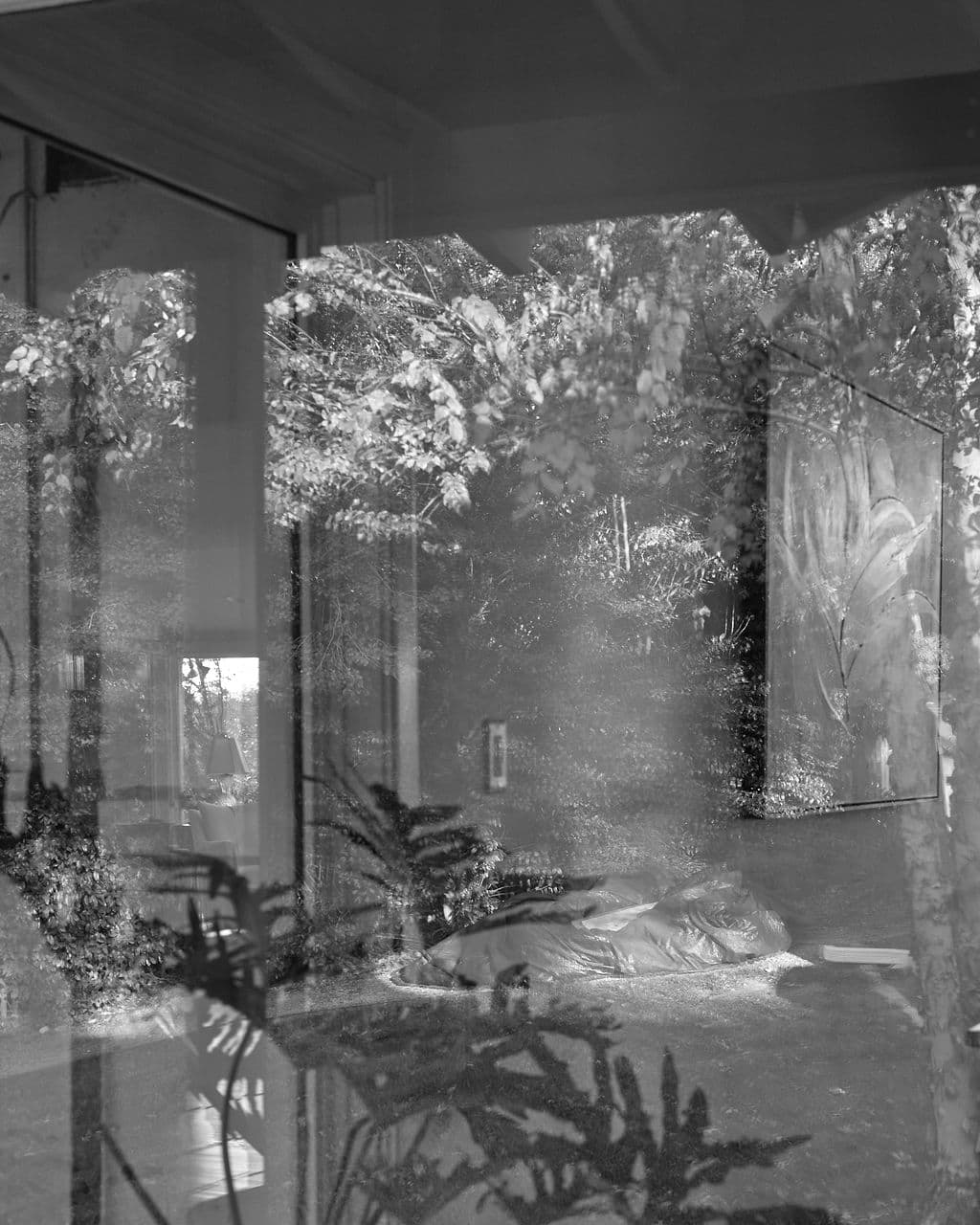 A garden reflected in the exterior glass wall of a house under construction, black and white.